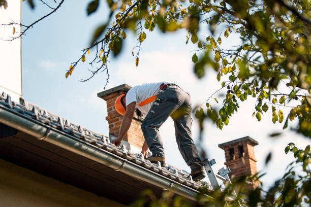 Emergency Roof Repair Services in Wrightwood, CA