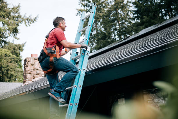 Best Slate Roofing  in Wrightwood, CA